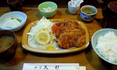 09天杉.jpg