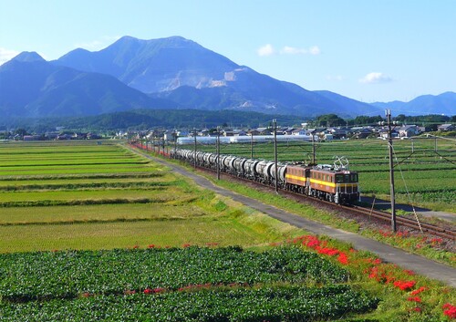 ■貨物列車と藤原岳_薄め.jpg