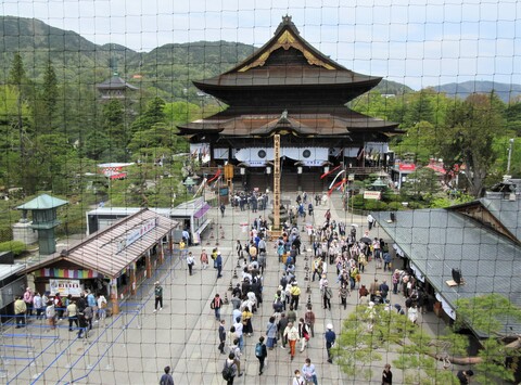 ◎20善光寺山門から本堂を見る.JPG