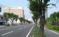 ◎中央道路.jpg