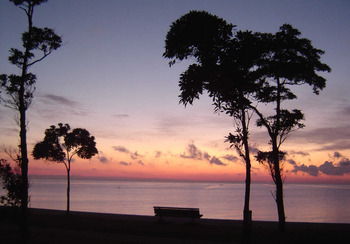 夜明け前千代崎海岸_3.jpg
